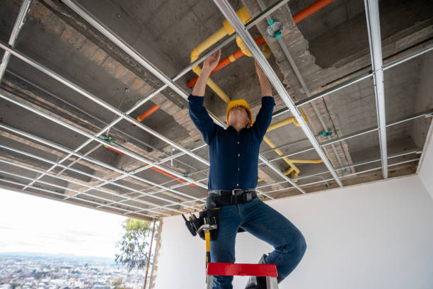 Best 24-Hour Plumber Near Me  in Red Lake Falls, MN
