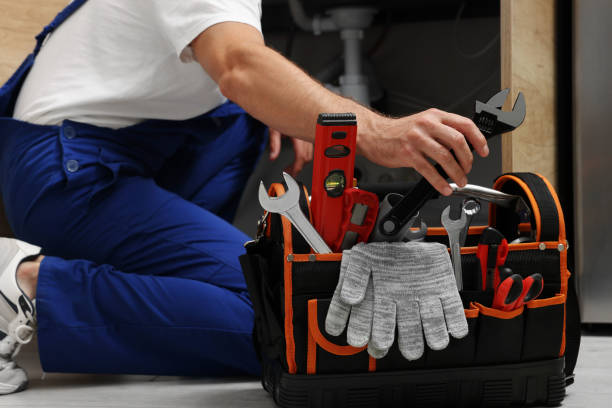 Best Toilet Repair Services  in Red Lake Falls, MN